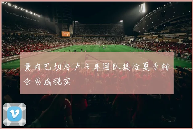 费内巴切与卢卡库团队接洽夏季转会或成现实