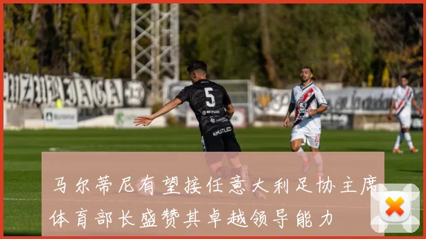 马尔蒂尼有望接任意大利足协主席体育部长盛赞其卓越领导能力